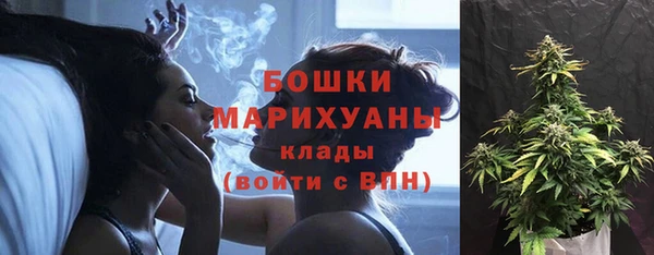 амф Белокуриха