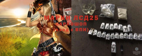 spice Беломорск