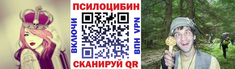 Псилоцибиновые грибы Cubensis  Серов 